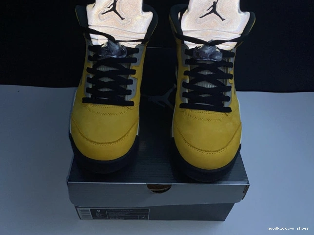 Rep 5 454783-701 T23 Jordan Tokyo Retro Air 0730